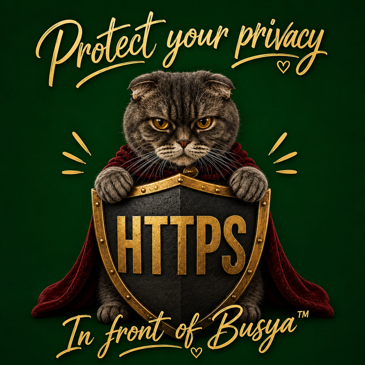 Protect your privacy — In front of Busya