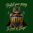 Busya HTTPS Guard logo